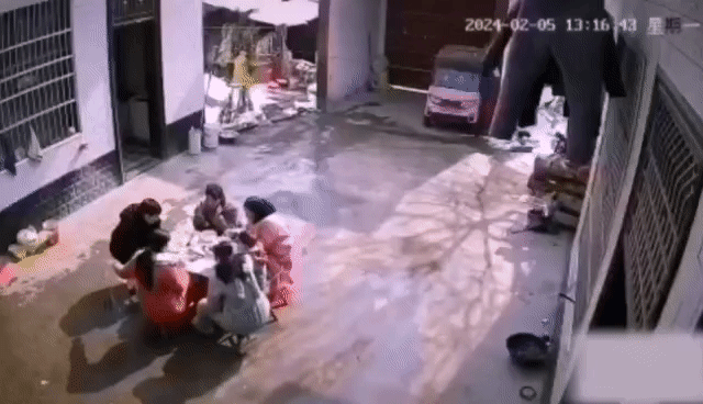 雪:吃饭也不喊我