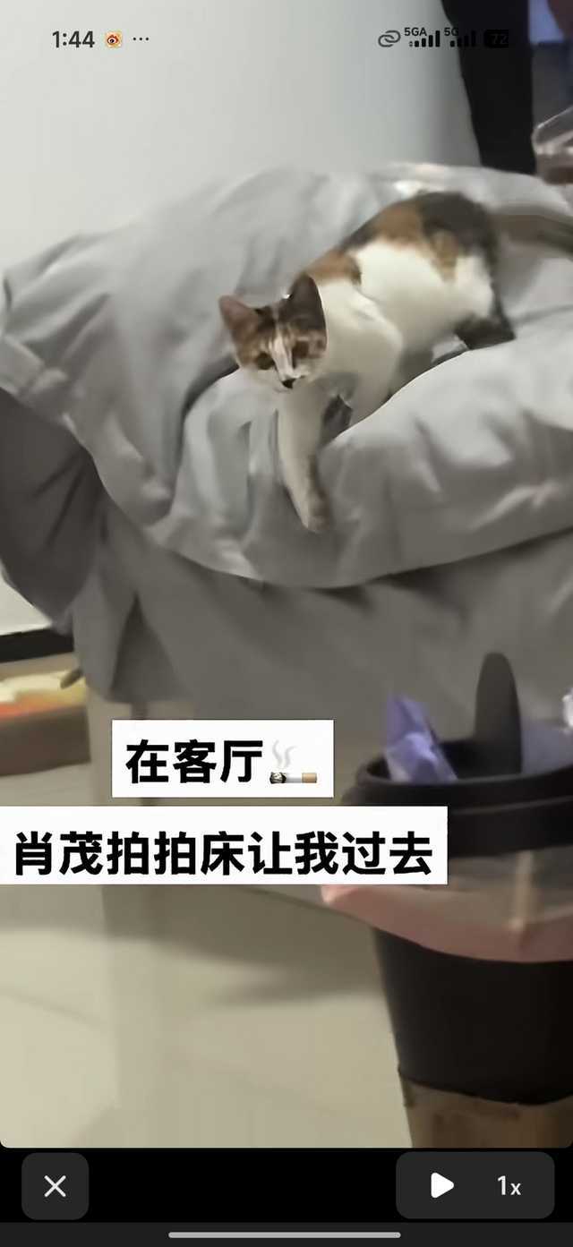 额，，，，不知道非要说一句在客厅抽🚬什么意思，希望是独居🙏🙏🙏全家不沾?