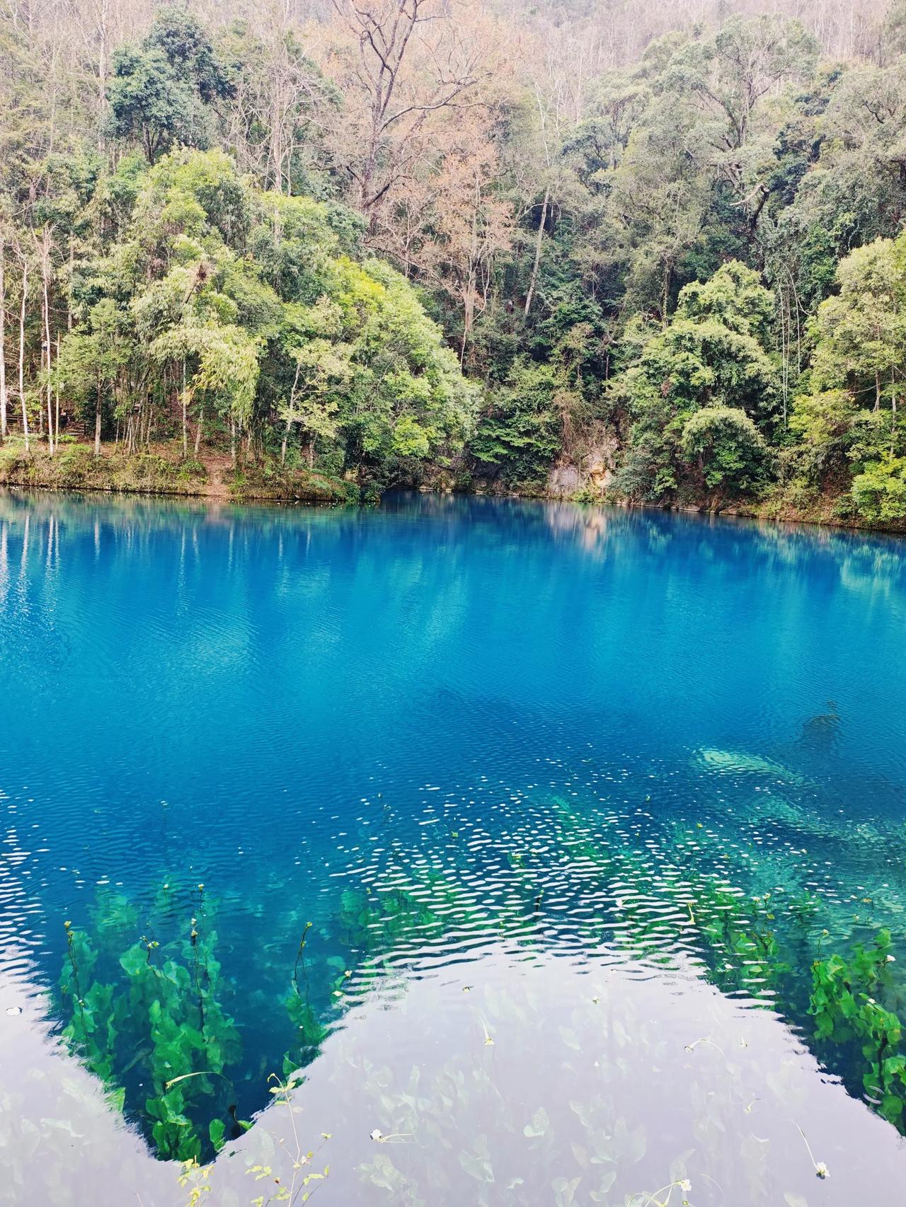 这次到贵州去旅游，整体感觉还是不错的，尤其是荔波县的小七孔景区，可真是不负世界的