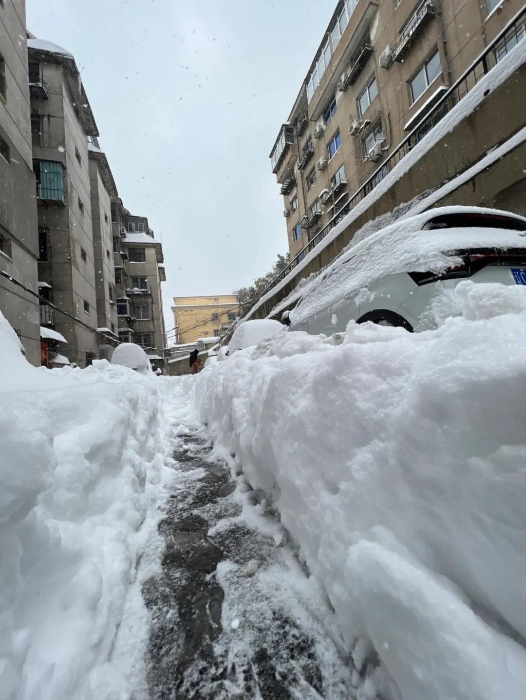东北暴雪天出门堪比取经，被大雪封门后，嘲笑职校生的人闭嘴了
东北的大雪让人们意识