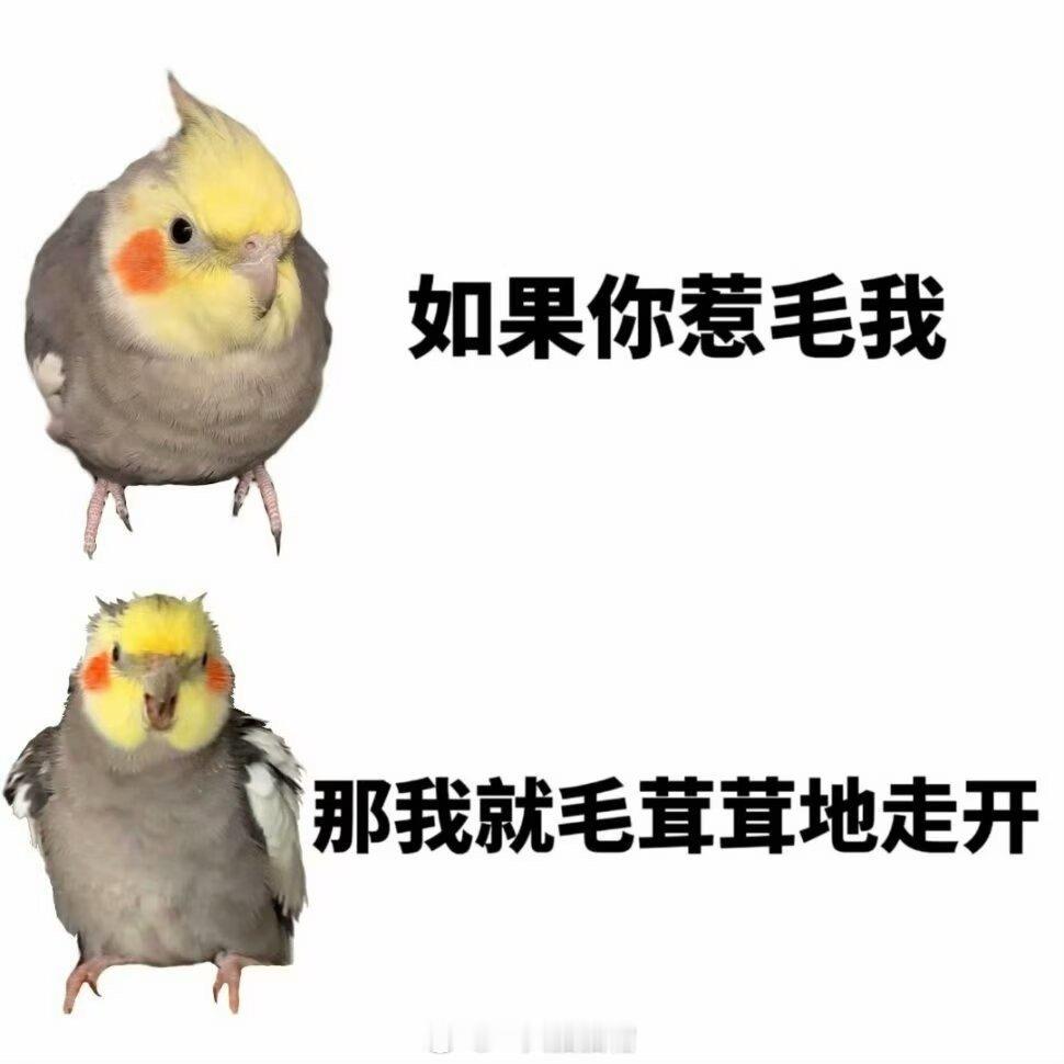 感觉我的修图工作过程就像给苏打饼干打孔。。。总之我在修一些我认为很重要的细节！ 