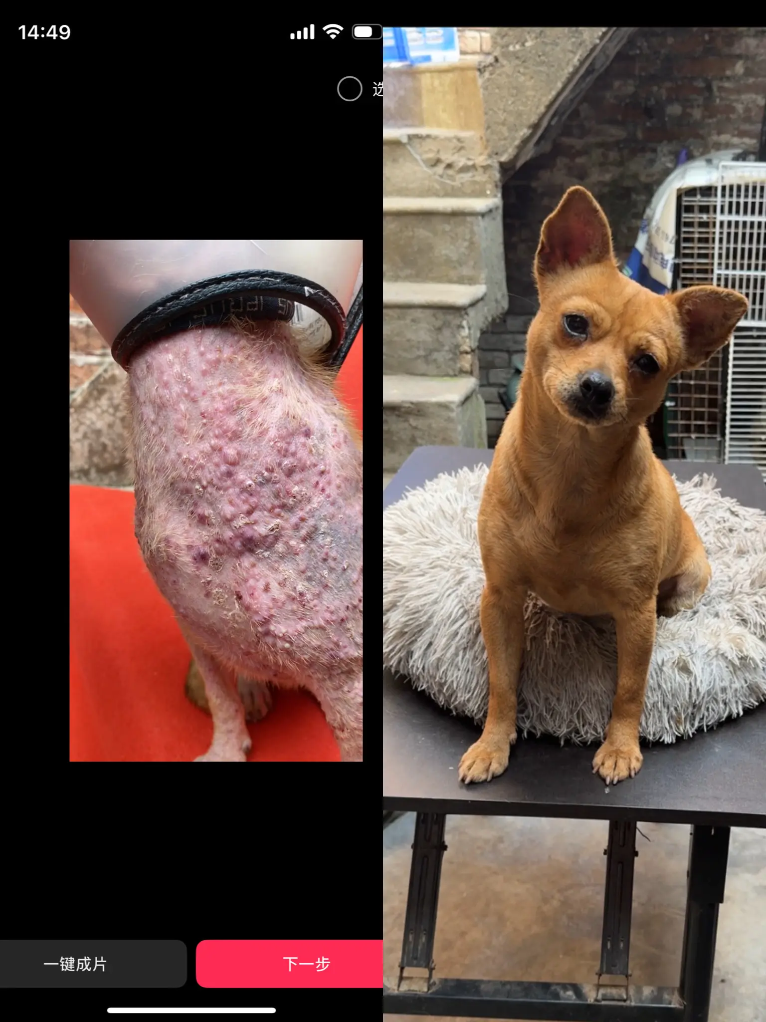 冶疗前和冶疗后的对比