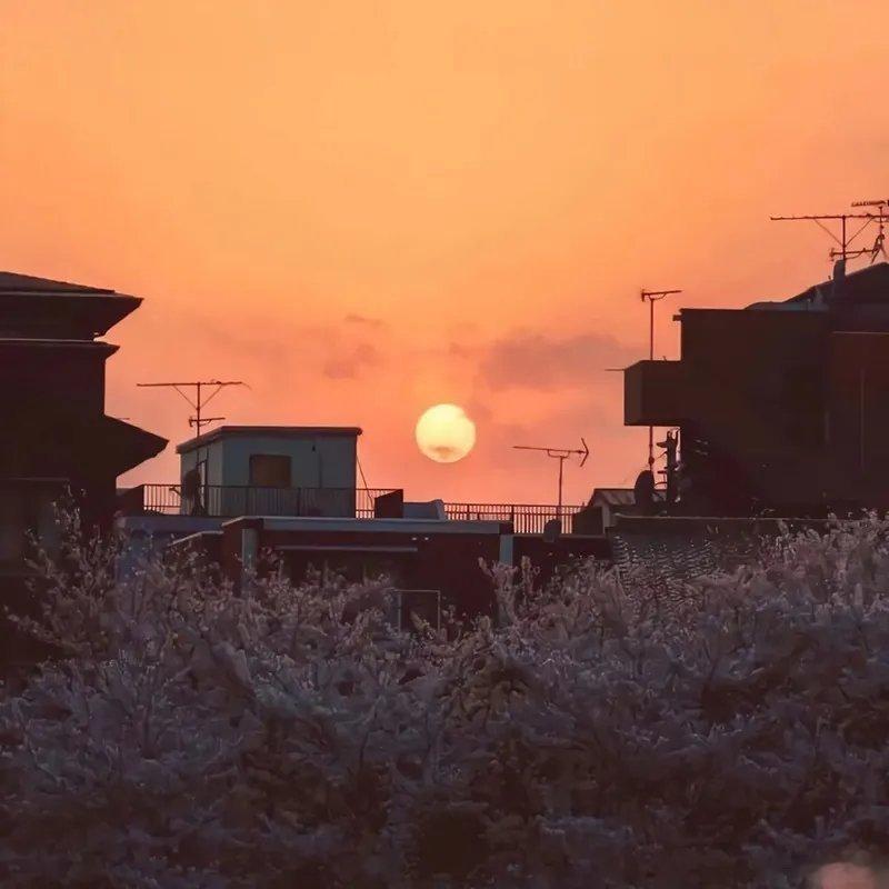 希望我们都要努力做那个雪中送炭，让对方视若珍宝的人，而不是“招之则来，挥之即去”