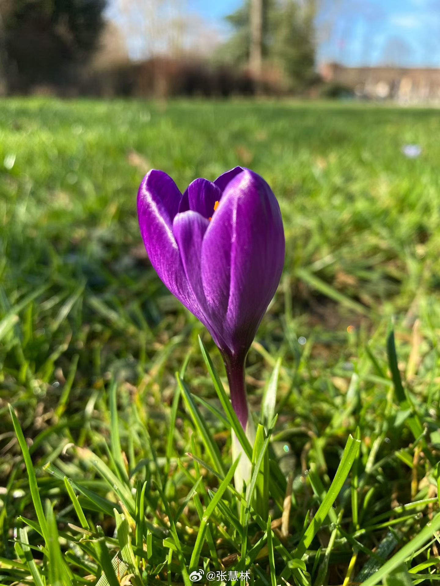 你好三月 再见，二月，你好，三月！春天来了！探秘自然