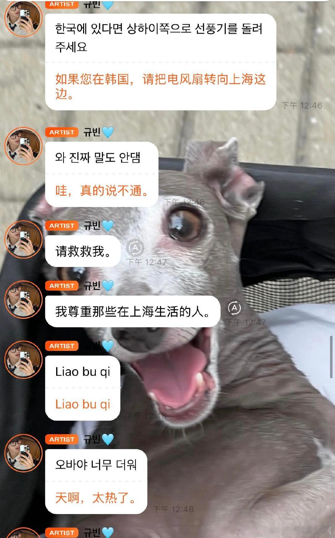 笑屁了上海高温给了沈泉锐金奎彬一点小小震撼，小老外震惊说自己会好好活下去的，沪少