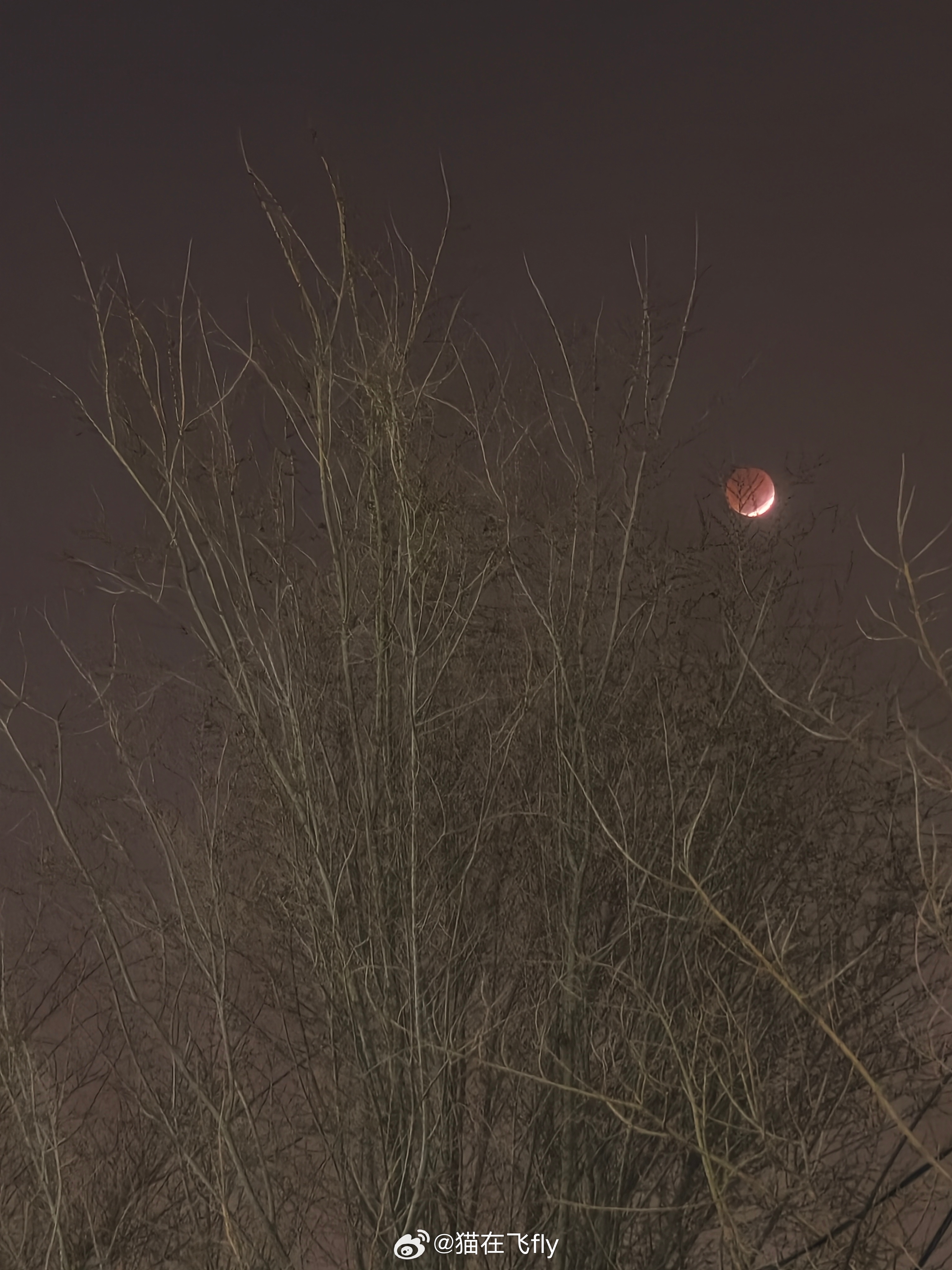 26年元宵节月全食 