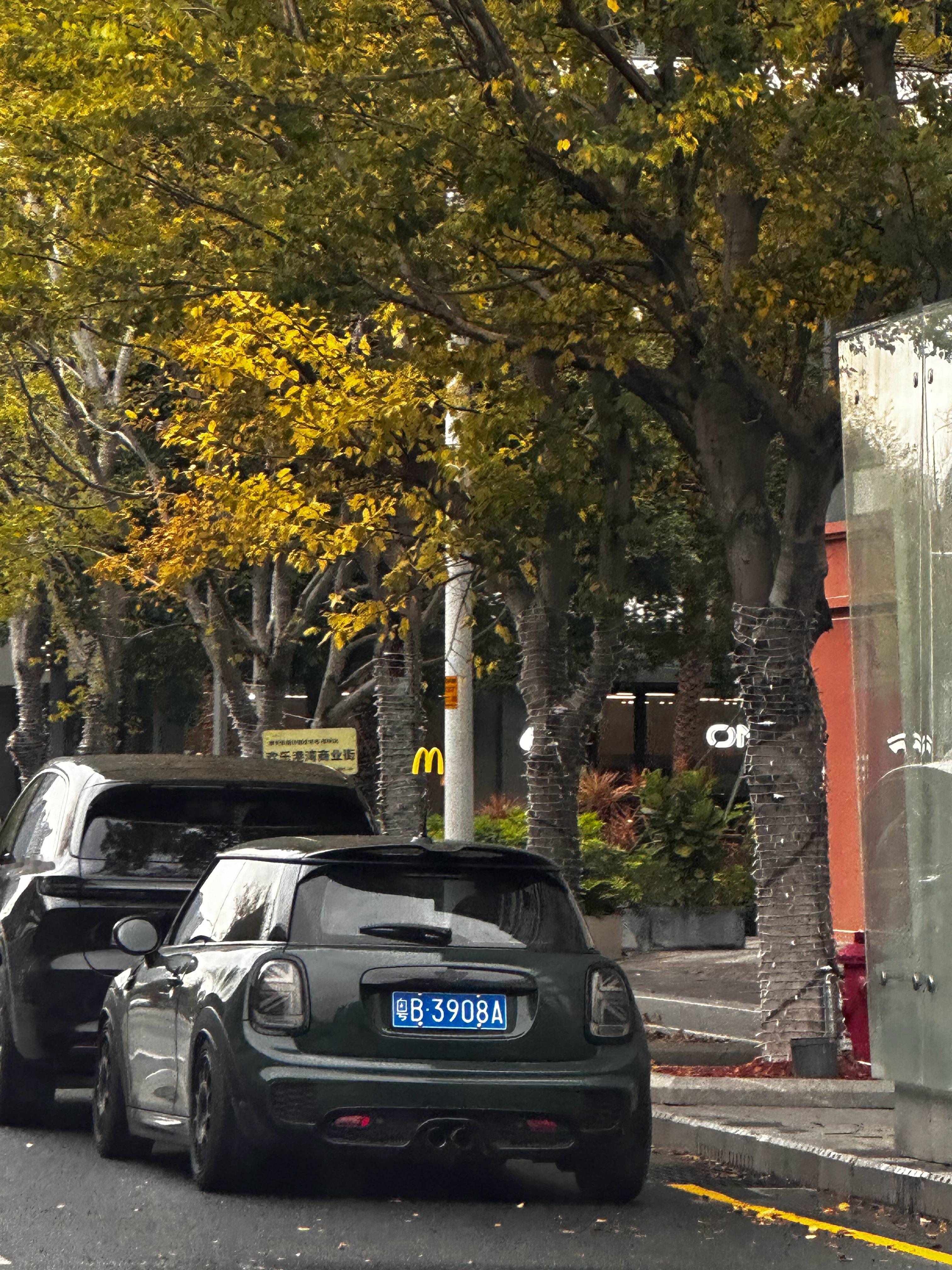 车越造越大，小车依然喜爱。 