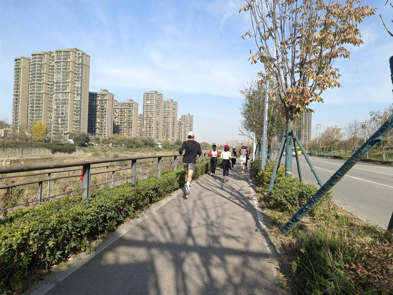 一个人健步走，是身体的律动与思绪的自由碰撞，脱离了屏幕的碎片化干扰，脚步声、风声