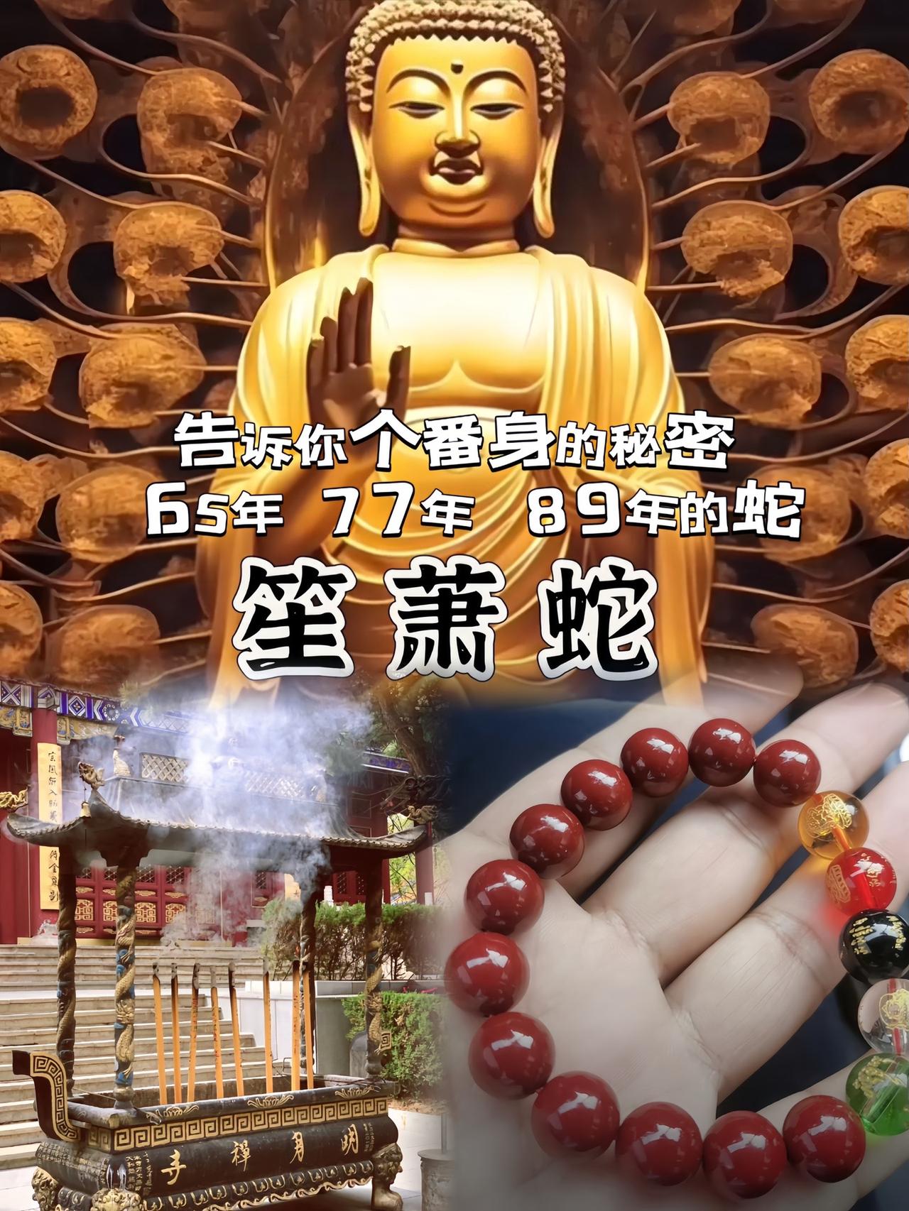 大师推荐同款男女气质手链#65年的蛇 #77年的蛇#生肖文化#01年的蛇   期