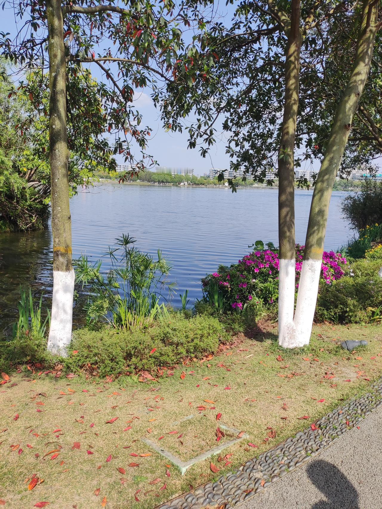 菜刀坠落，砸在儿童游乐区家长怒砸学校门 
2026年4月15日，成都中南樾府小区