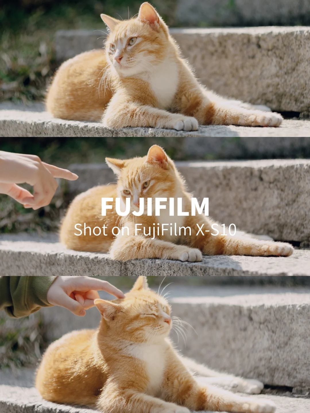 做我们这行的，最忌讳的就是爱上客人！