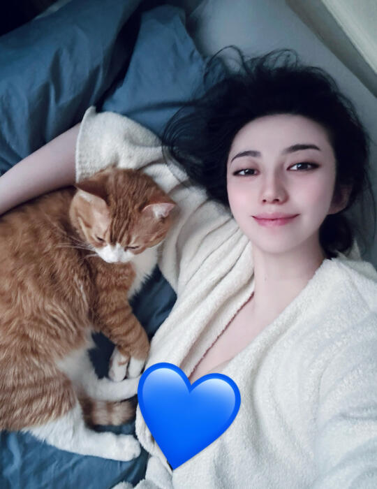 💖💖🌸🌸🐈🐈