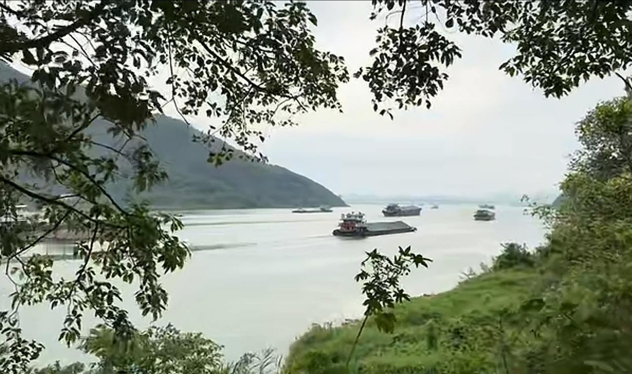 我朋友说他昨天一家老少从广东佛山出发自驾去肇庆旅游，全程才80公里，上了高速后没