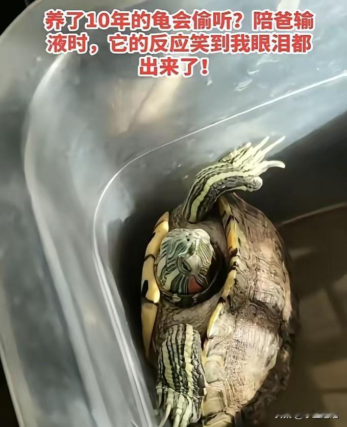 科学也解释不清了！江苏宿迁，女儿陪83岁的父亲在家中输液，跟父亲讲着听到的新鲜事