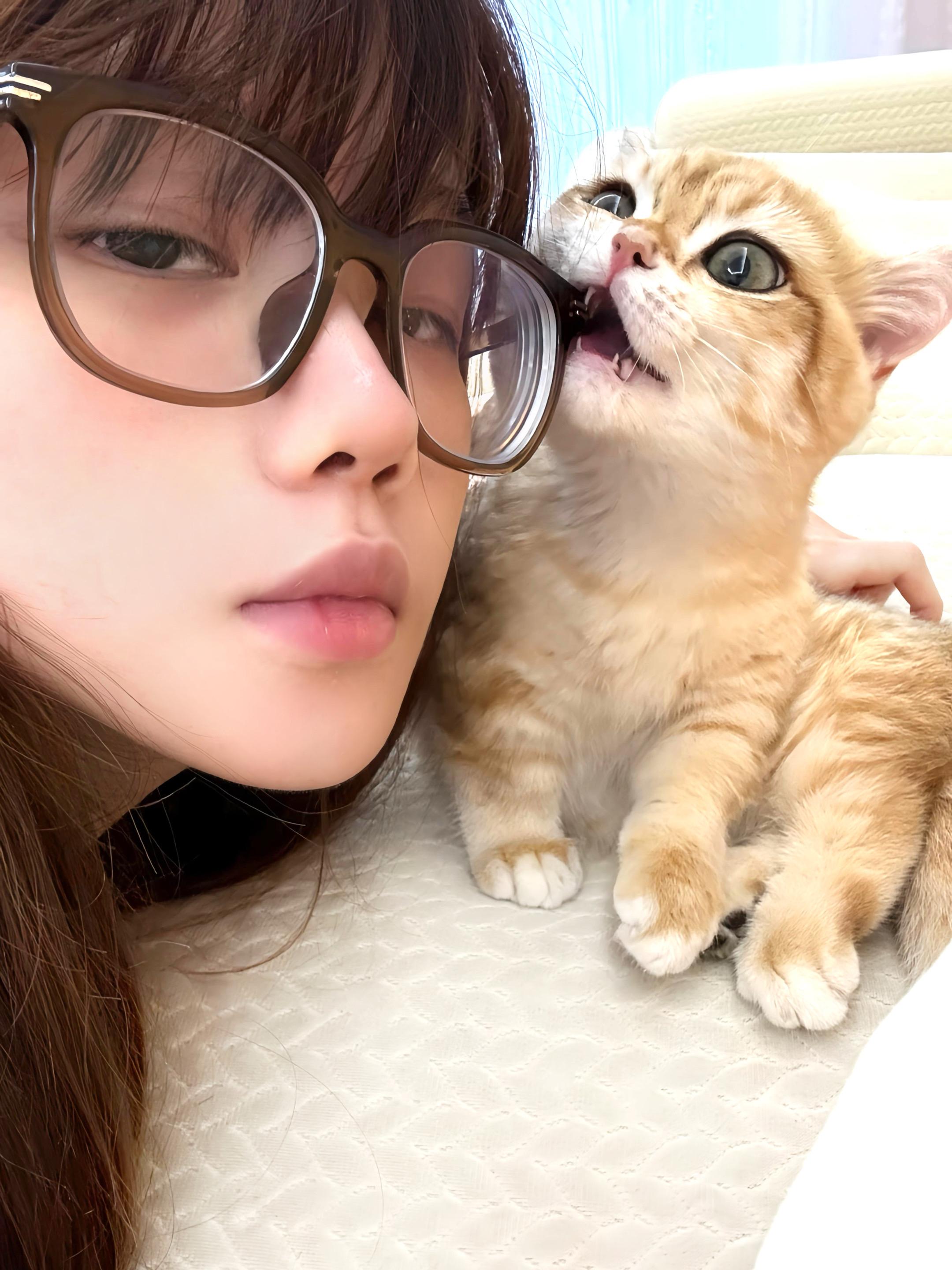 你就咬吧