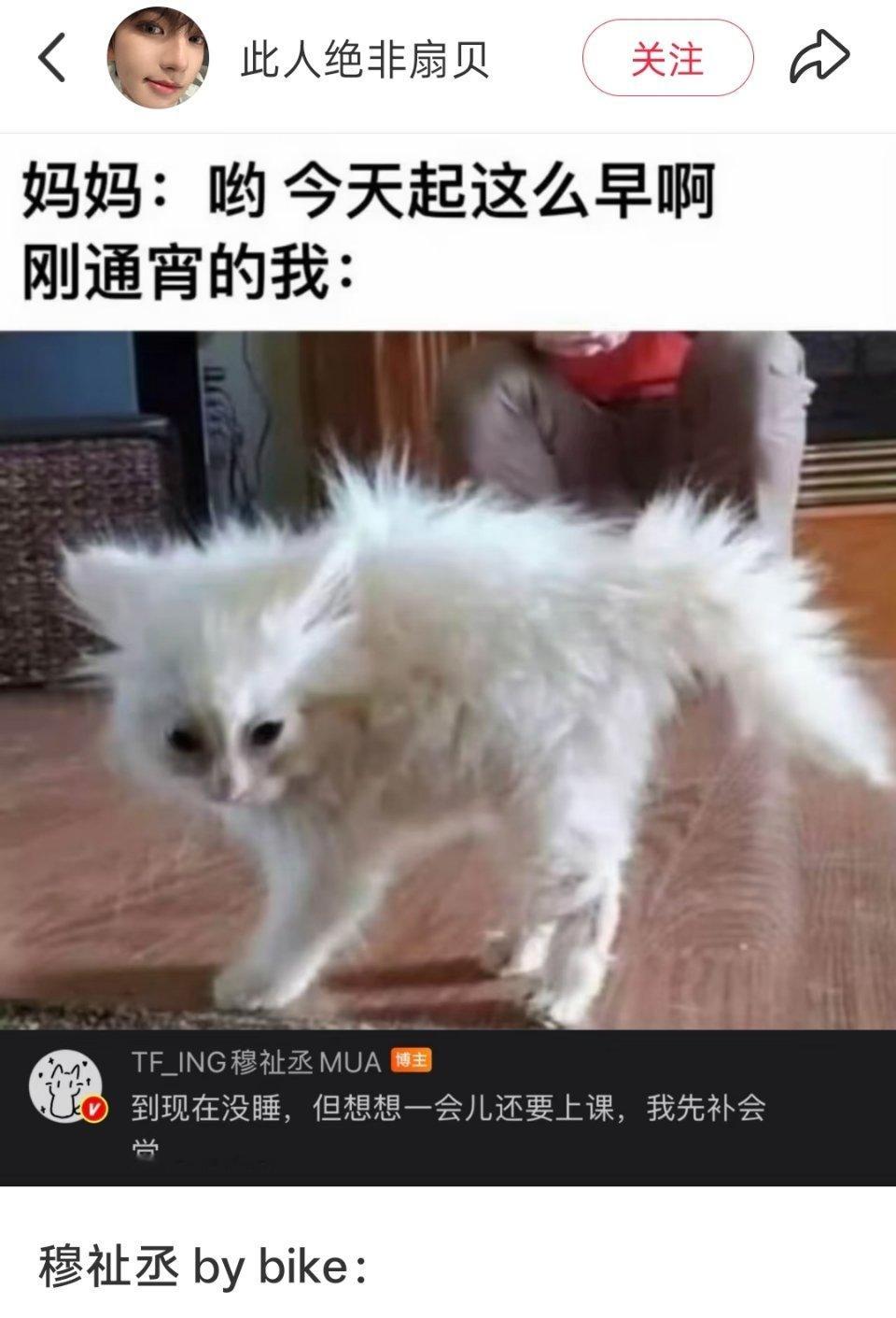 穆祉丞炸毛大概就是像图2 图3一样头发翘起小呆毛吧好萌