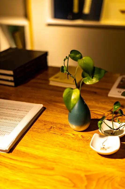 我家最爱的角落是书房。它不大，却被我布置得温馨又实用。
一面墙的书架上摆满了各类