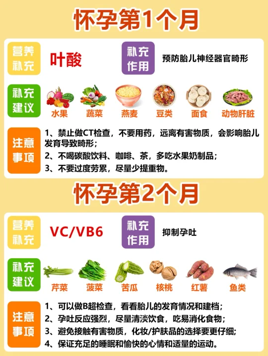 怀胎10月，准妈妈每月注意事项⚠️