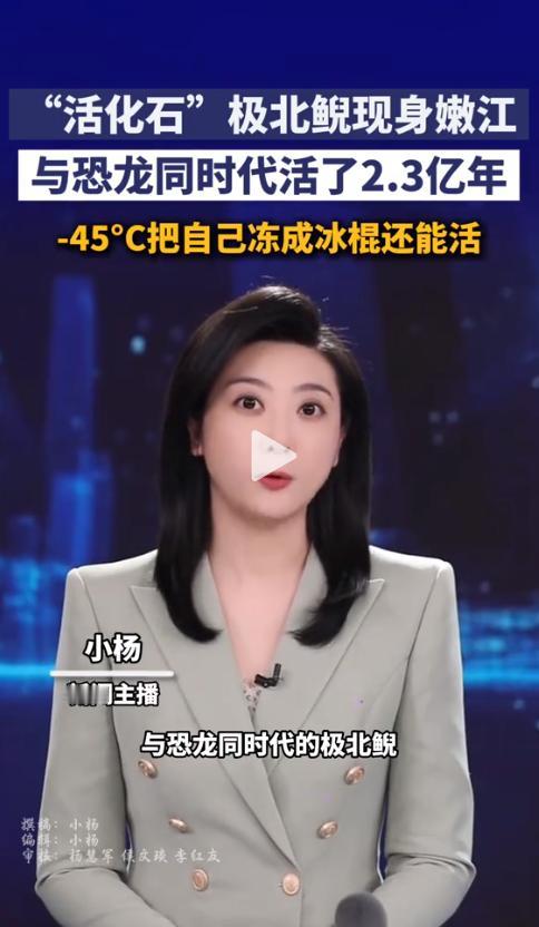 时隔多年再度现身！5月最新野外科考消息传来，东北深山深处传来惊喜一幕，谁也没想到