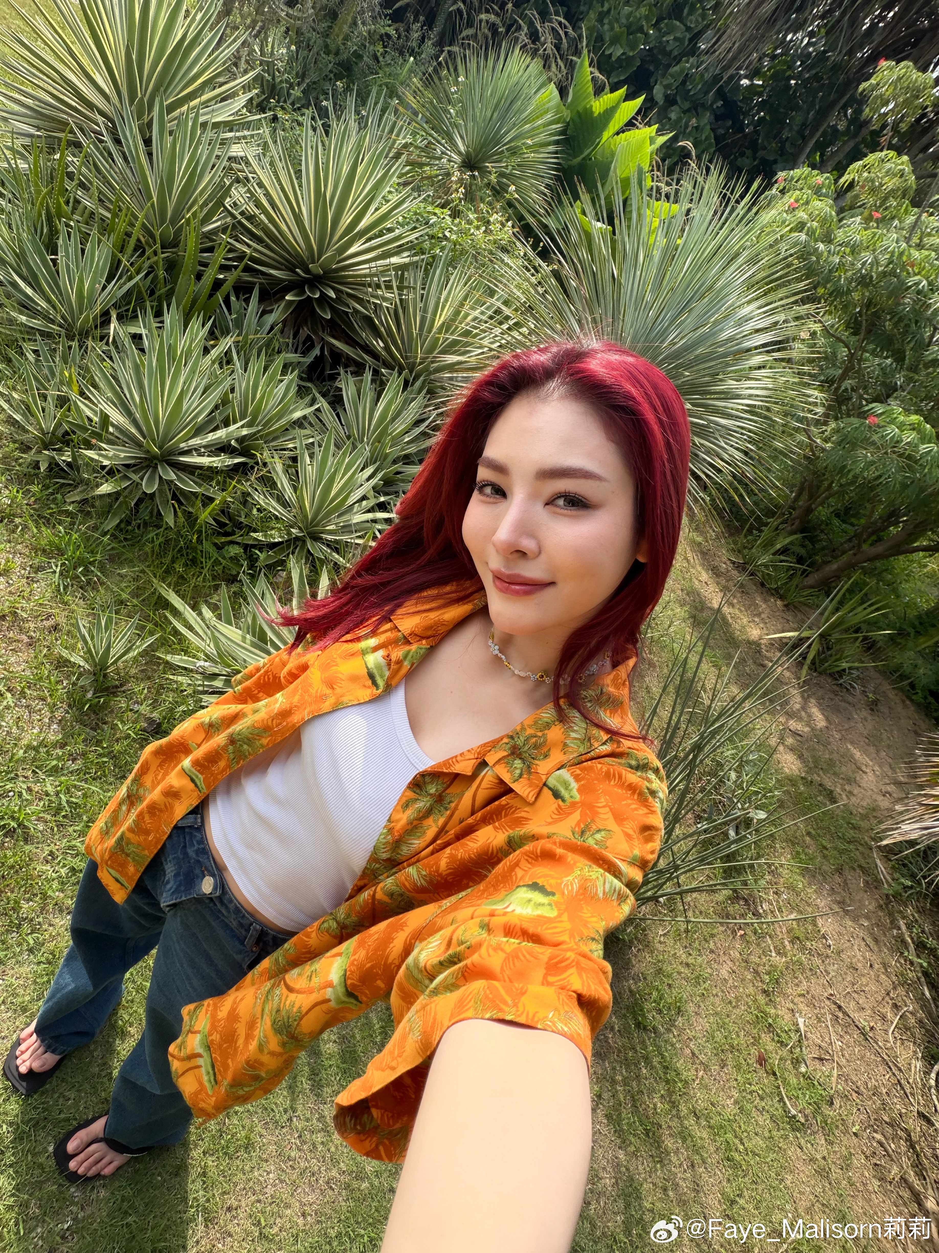 ✨🐞🪲☀️🌻💛🌳 FayePerayafayeperaya