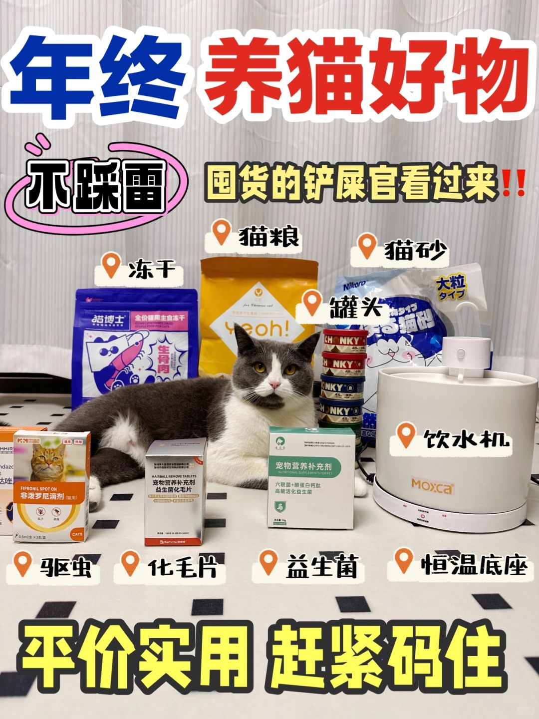 年终养猫好物盘点｜囤货的铲屎官看过来！