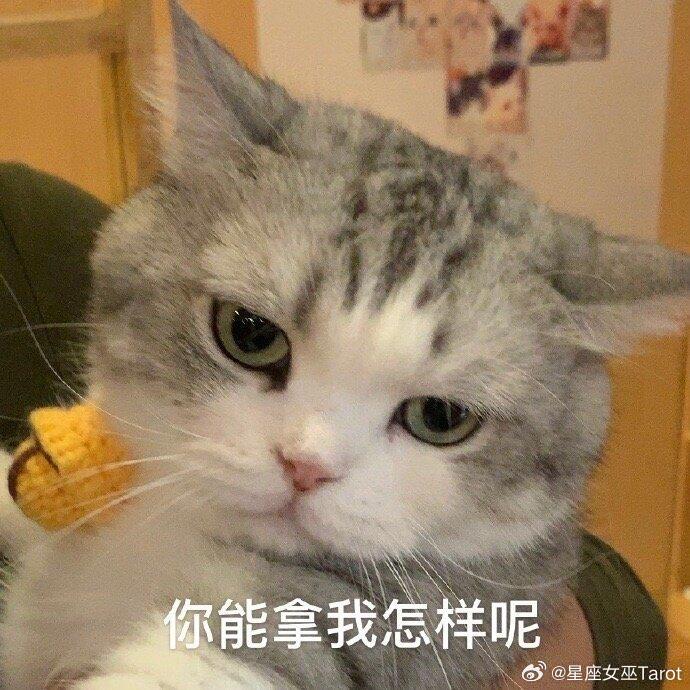双子、射手、水瓶不是花心，是还没遇到那个让TA甘愿被绑住的人——在那之前，谁都拦