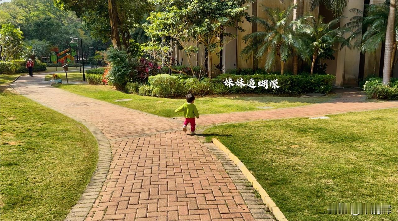 总在记忆里（1505）：孩子，早上好。今晨体感温度只有5度，我宣布深圳从今天起“