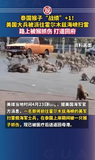 谁能想到，美军大兵去霍尔木兹海峡玩命扫雷，半道被泰国猴子干废，灰溜溜打道回府！