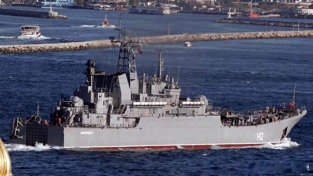 “新切尔卡斯克”号登陆舰是俄黑海舰队里比较大的船只了，但它目前仅能承担后勤补给运