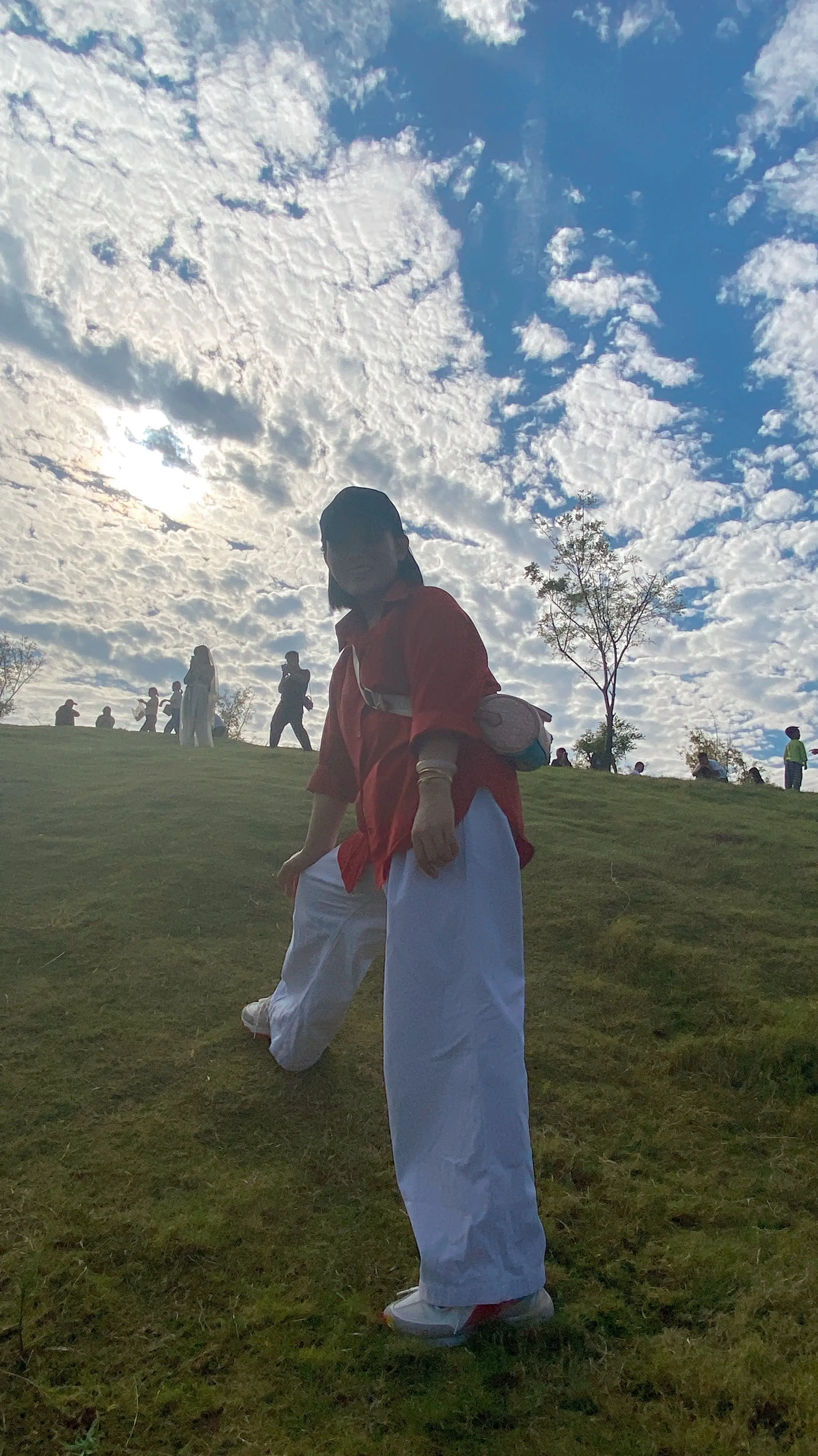 妈妈总是对我说“同志退出情场，一心向党，爱国爱党，成绩高涨，不要去经历...
