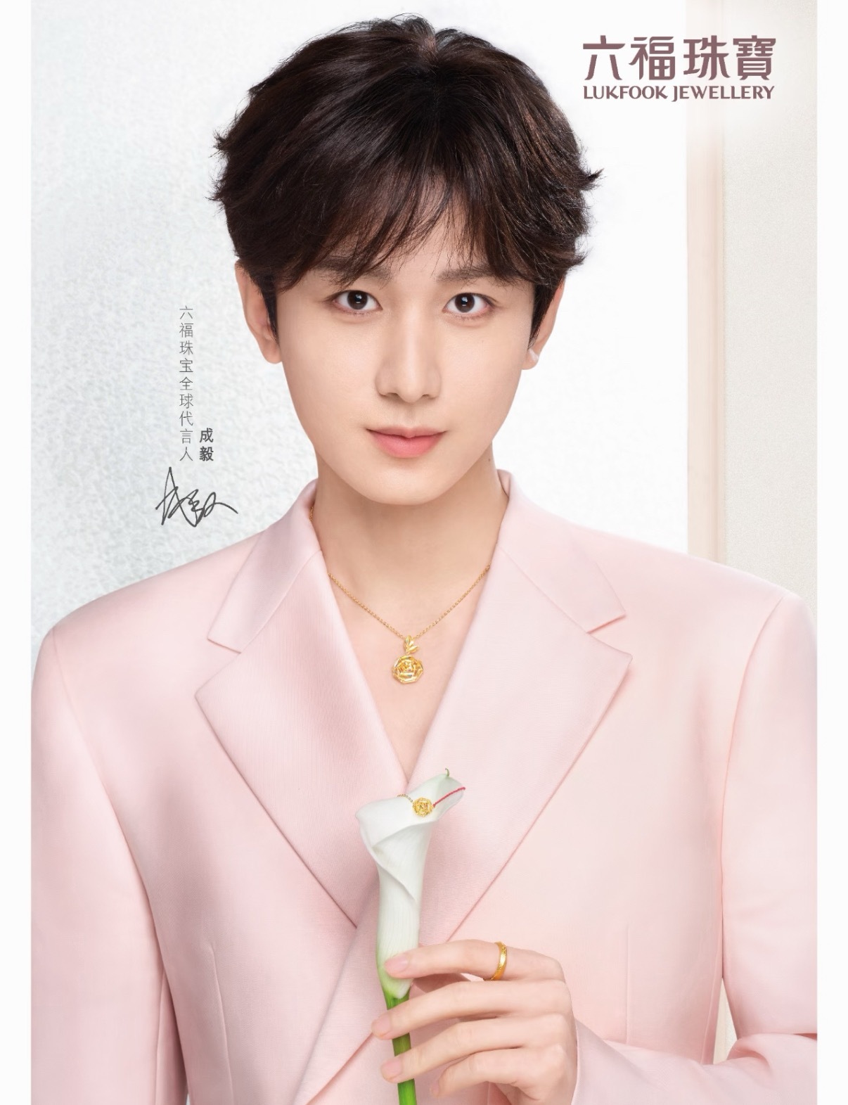 成毅六福一周年