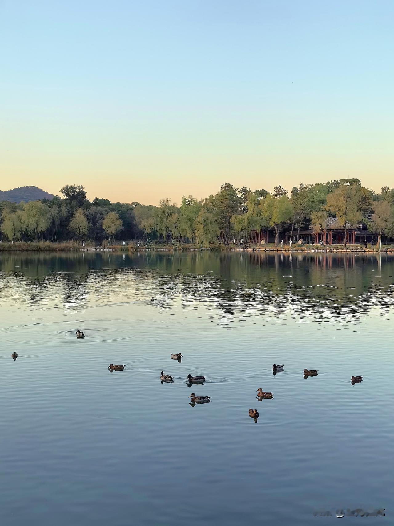 今天先说说欧洲，有消息表示，大俄基本上拿下了红军城！

大俄，80后部分军队前往