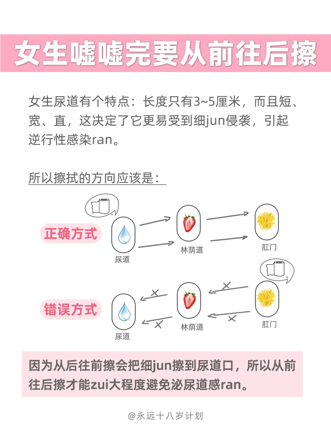 永远十八岁  女生嘘嘘完要从前往后擦