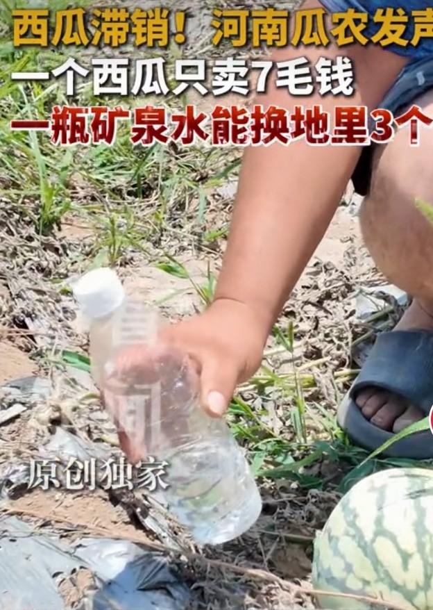 瓜农谈西瓜滞销：一瓶水钱能换3个瓜
 
盛夏西瓜集中上市，多地瓜田却陷入滞销困境