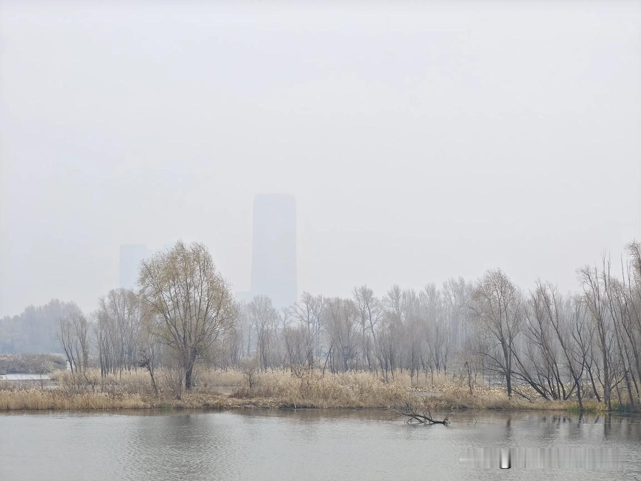 #秋日生活打卡#打卡长春北湖公园[灵光一闪]深秋与初冬交替，长春北湖的水边，烟波