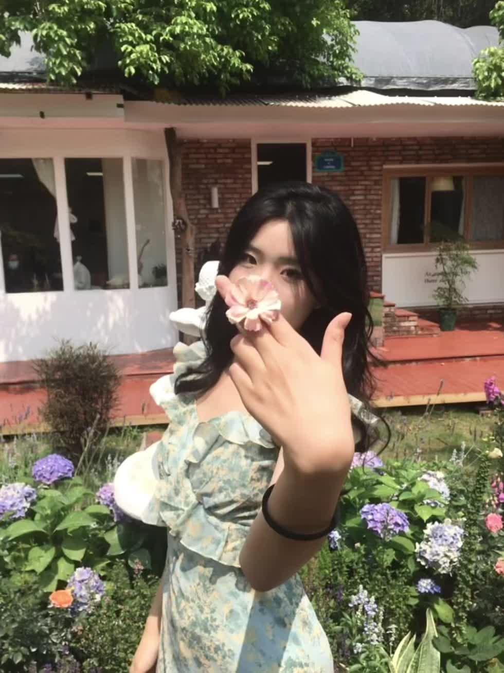 像花一样往春天里赶