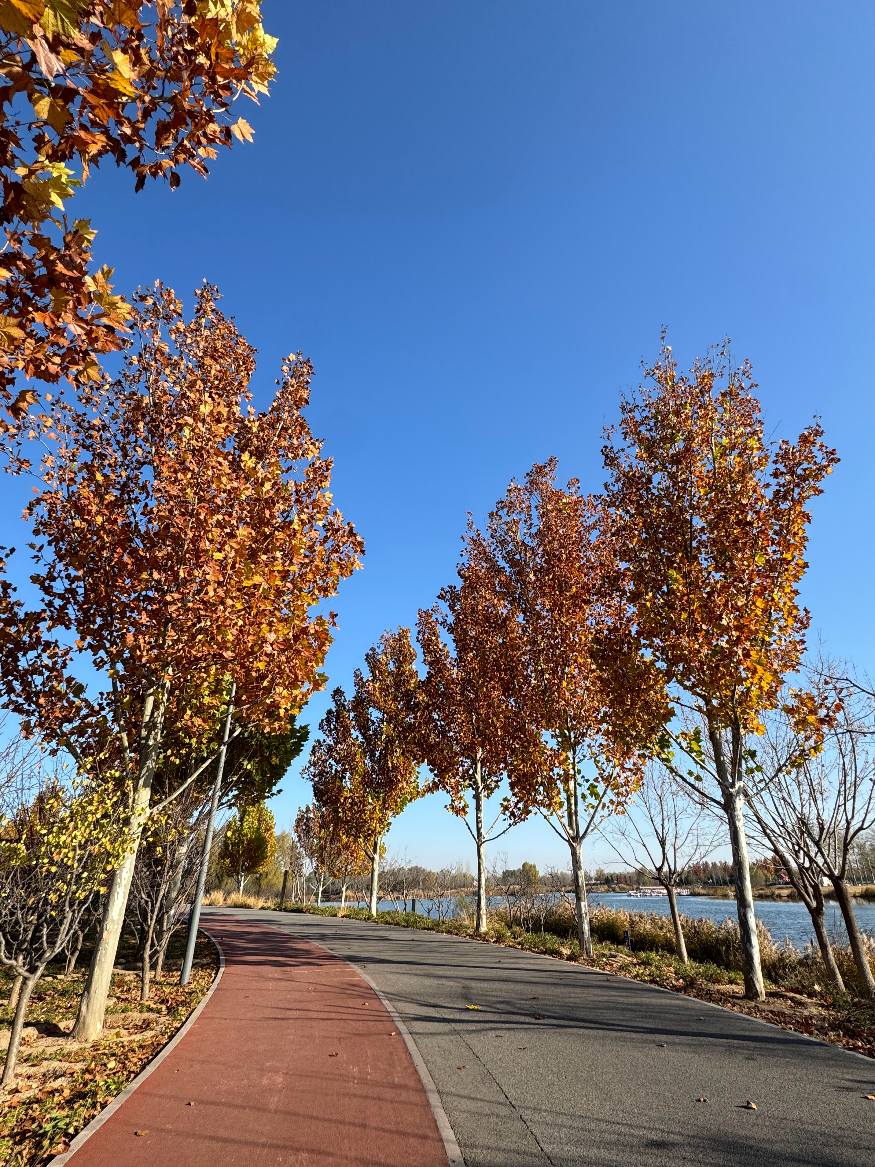 同一条路上一直跑就会发现每一天都不一样。 ​​​