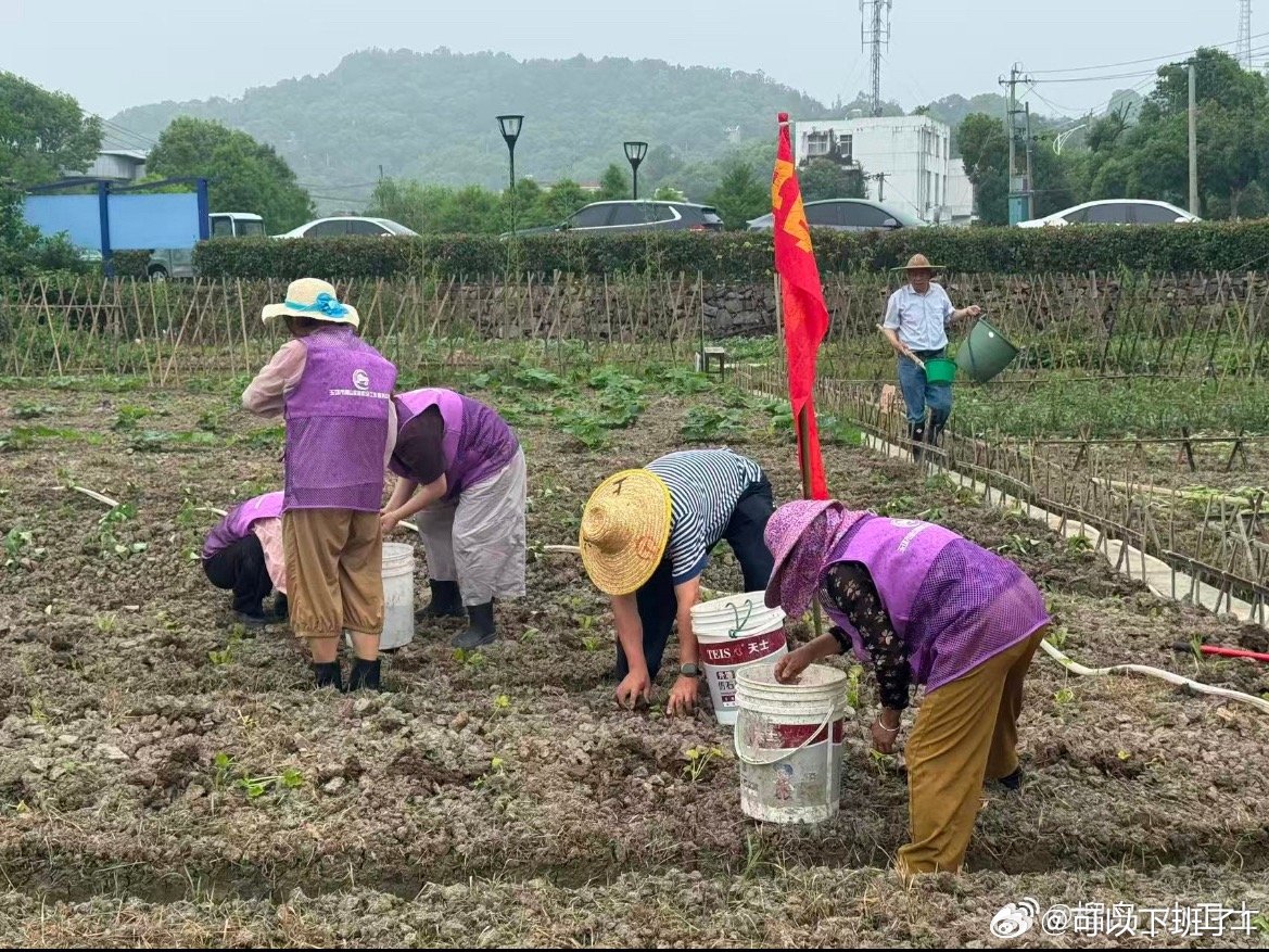 玉环花田嫂无人机送热饭海山乡建起“老省心”共享食堂，解决老人“做饭难、吃饭凑活”