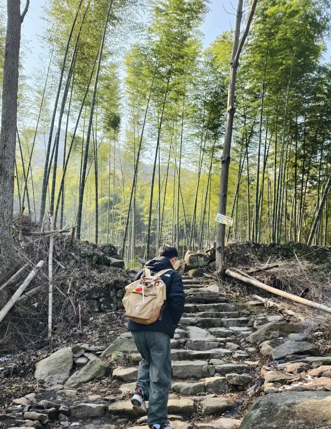 杭州周边徒步｜从山林到古镇的治愈一日🌿
周末逃离城市计划达成✅
从杭州出发，1