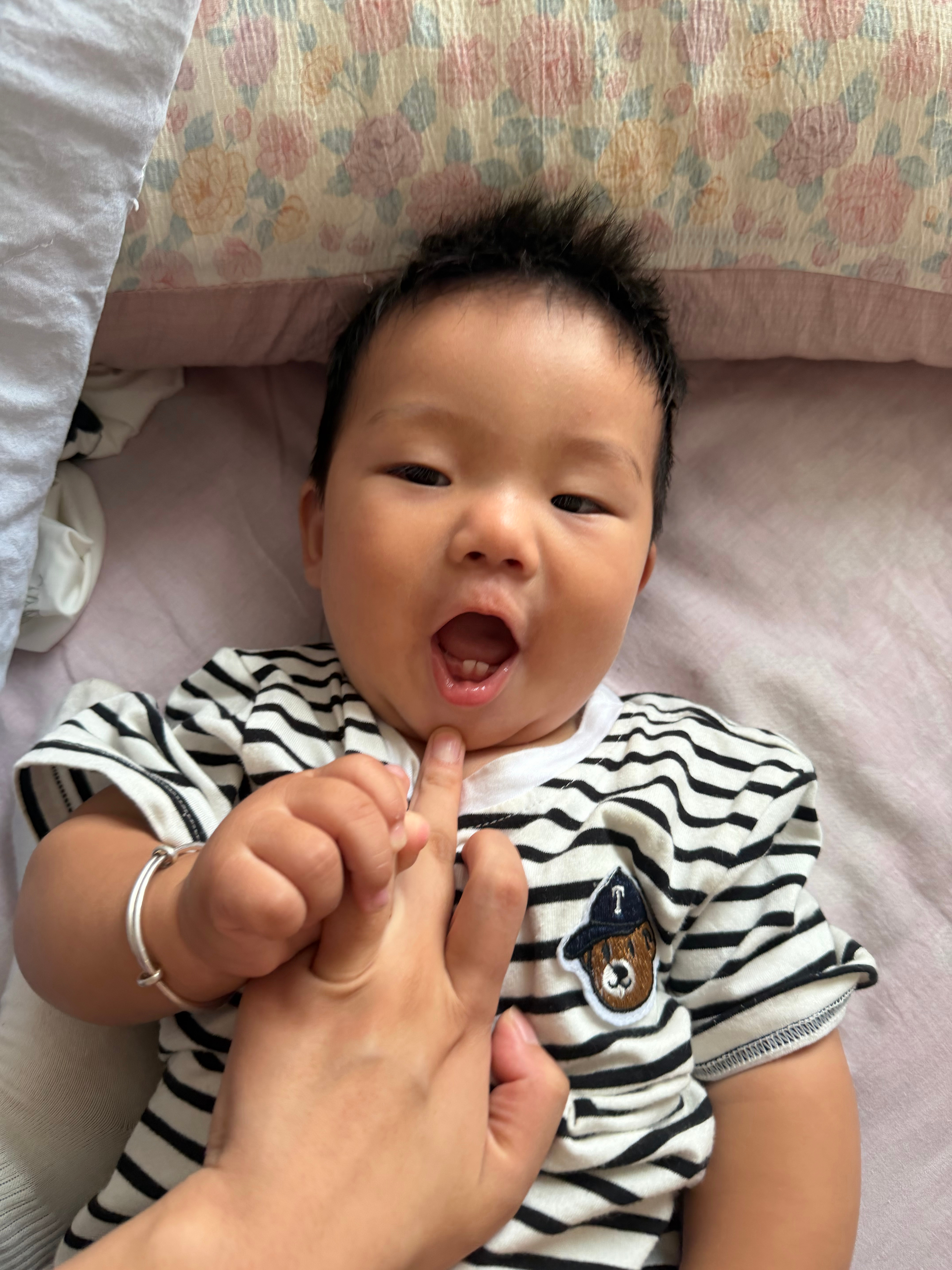 老农民今天不拔草 转行了下面的两颗小牙也马上出来完了 ​​​