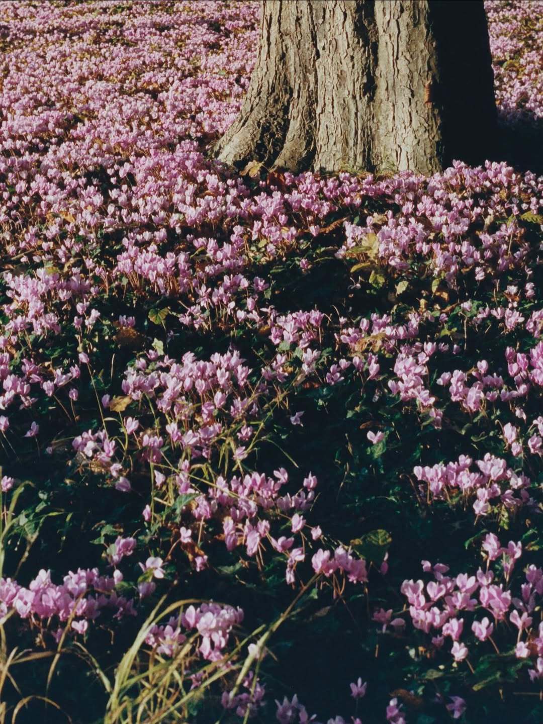 期待Jonathan的Dior高订首秀忙碌的Jonathan Anderson 