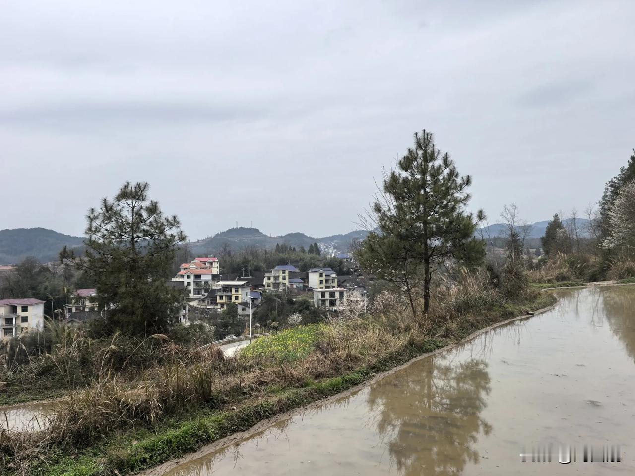 鹧鸪天·重读<七律·洪都>有感
（2025年3月11日）
滕阁秋风又几年，中流犹