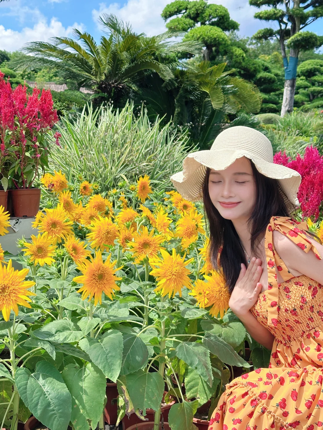 南宁！！！向日葵花海太美啦！！