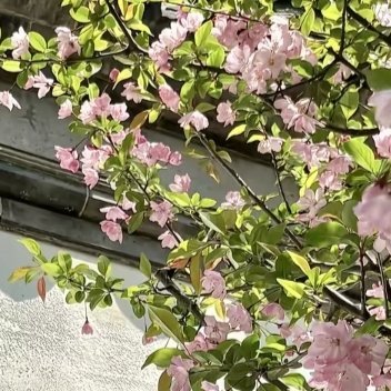 阳光信用 🌻阳光信用 🌻每日一善 人人存善念，并能日行一善，则个人、家庭、社