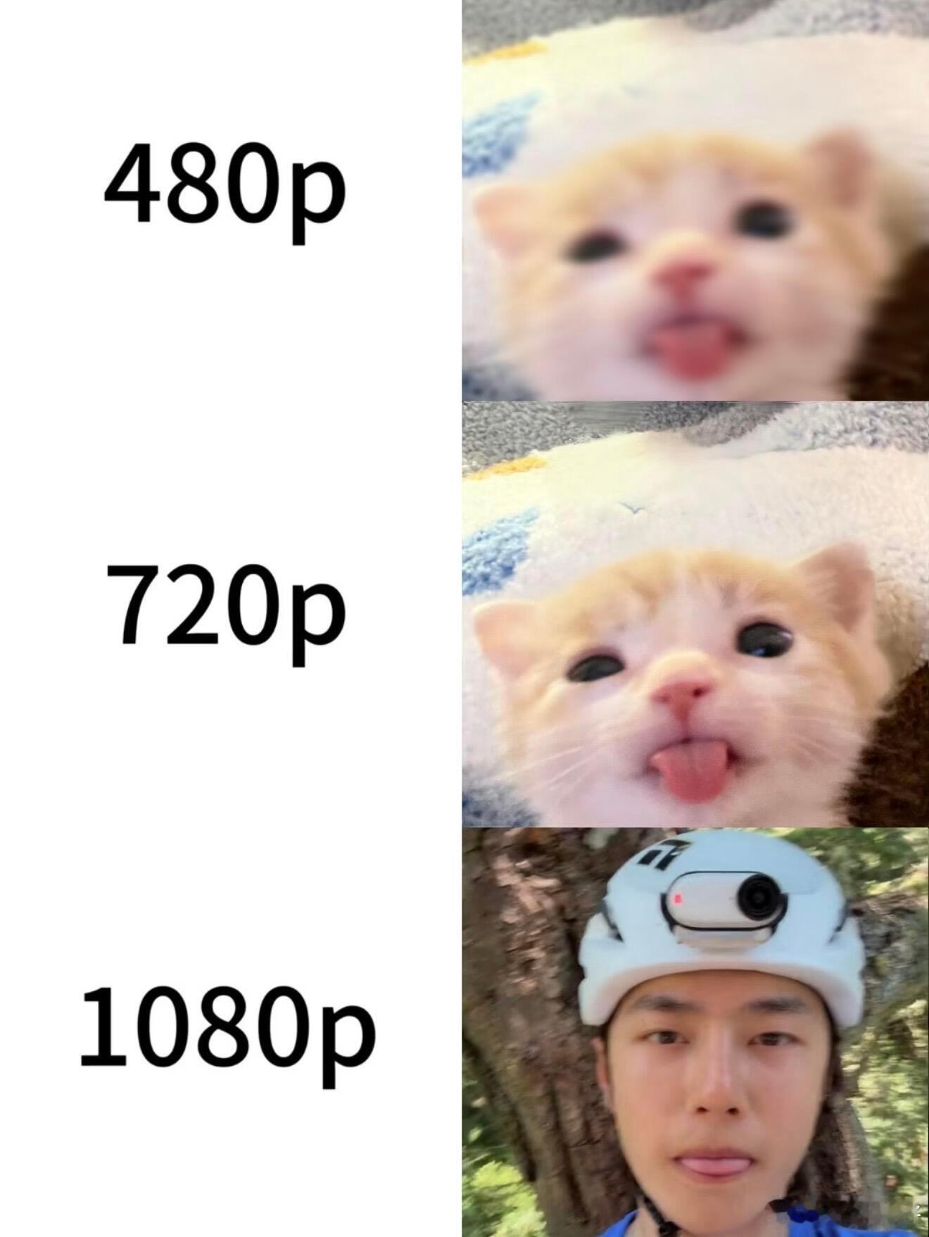 哎呀太可爱太萌了