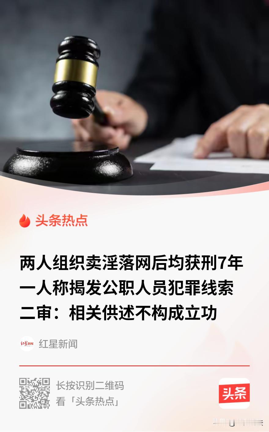 “检举有公职人员充当‘保护伞’算不算立功？”海南三亚，两人想赚快钱，合谋组织多个