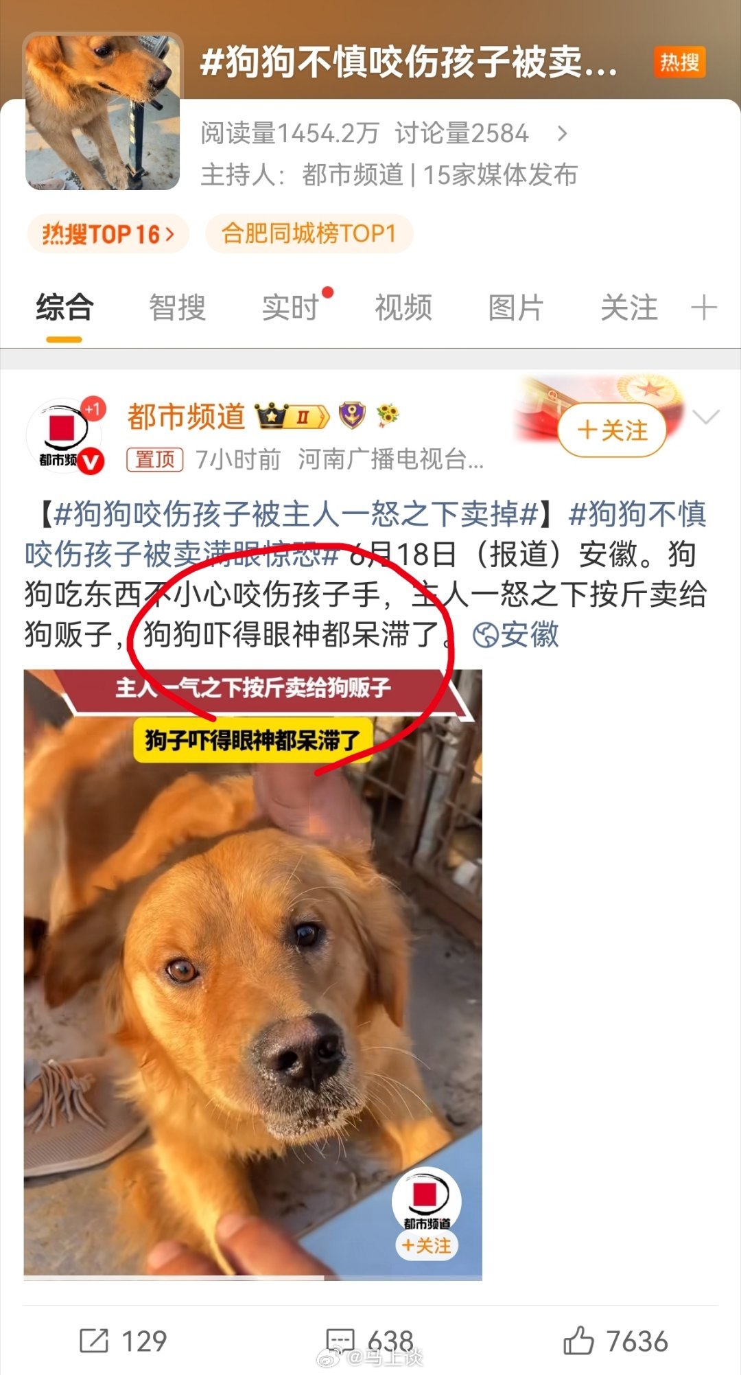狗狗不慎咬伤孩子被卖满眼惊恐 很遗憾，我们的媒体宁愿共情咬人的狗，也不愿意共情被