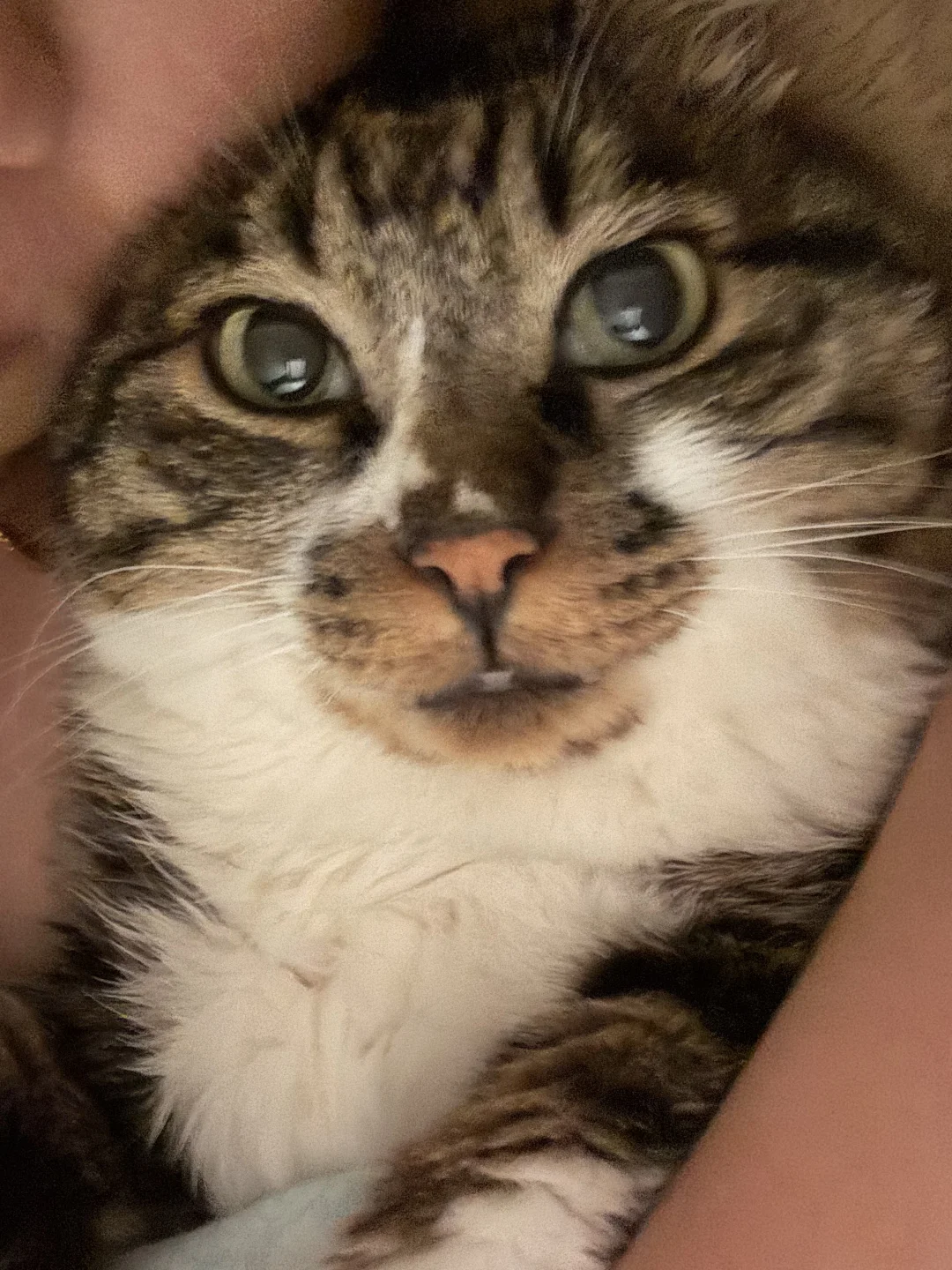 不骗你们 是真的天天抱着睡！！