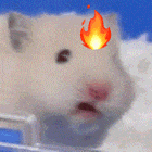 千年传承的烟火气！3天迎火、玩火、送火，盛装人群载歌载舞，呐喊声中尽是节日的热烈