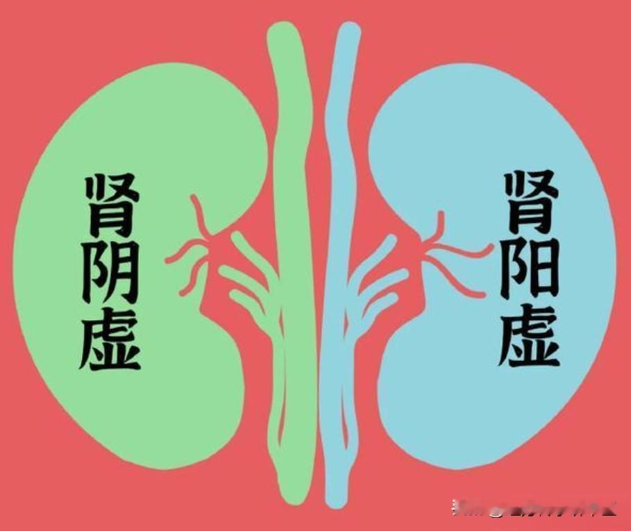男人房事不行，肾阴和肾阳到底该补谁？

1、肾阳虚——阳痿
辩证：肾阳具有温煦的